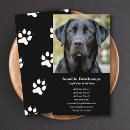 Recherche de groomer mini cartes visite Assise