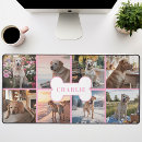 Recherche de os tapis souris Animal de compagnie