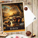 Zoek naar bevers briefkaarten Natuur