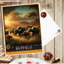 Zoek naar buffels briefkaarten Natuur