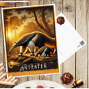 Zoek naar miereneters briefkaarten Natuur