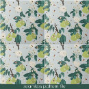 Recherche de poire verte carreaux Nourriture