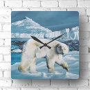 Recherche de ours horloges Faune