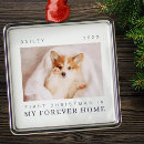 Recherche de animaux ornements Photo pour animaux domestiques