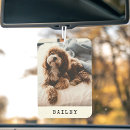 Recherche de porteur voiture accessoires Mignon