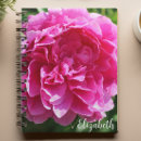 Zoek naar roze bloem fotografie Floreel