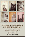 Recherche de amour de chat bureau fournitures Chaton