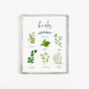 Recherche de herbes art Typographie