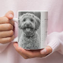 Recherche de maison et animaux familiers tasses Personnalisée