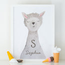 Zoek naar baby alpaca posters Grappig