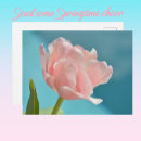 Zoek naar roze tulp briefkaarten Rooster