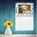 Zoek naar honden kalenders Foto