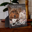 Recherche de chien plaques Garder