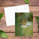Recherche de ailes de libellule cartes postales Vert