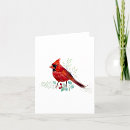 Recherche de oiseau rouge vœux cartes Pour eux