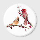 Recherche de saisonnier magnets Aquarelle