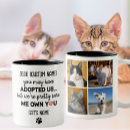 Recherche de dire drôle de chat Cats