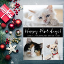 Recherche de animaux de noël cartes Humour