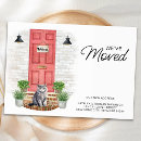 Recherche de chaton gris invitations Nouvelle adresse