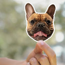 Zoek naar van een hond giften stickers Hondenstickers