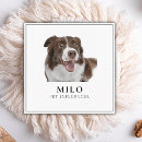 Recherche de dog cartes visite Vétérinaire