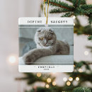 Recherche de chat drôle ornements Mignon