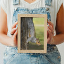 Recherche de écureuil gris posters Photographie de la faune