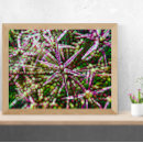 Recherche de rose rouge art Esthétique