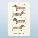 Recherche de dachshund voiture accessoires Chien de saucisse