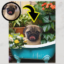 Recherche de noël de chien cartes postales Unique