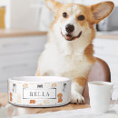 Recherche de caniche mignon animaux articles Motif