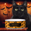 Recherche de noir de halloween chat articles Cats