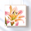 Zoek naar leugenaars posters Waterverf