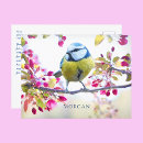 Recherche de oiseau coloré cartes postales Contemporain