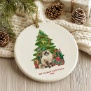Zoek naar ragdoll ornamenten Kerstmis