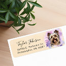Recherche de yorkshire Terrier du yorkshire