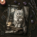 Recherche de pleine lune chat cartes postales Mystique
