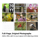 Zoek naar fotografie kalenders Vogels