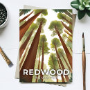 Zoek naar redwood briefkaarten Bos