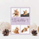 Zoek naar grappige kattenfoto kaarten Meowy kerstmis