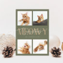 Zoek naar grappige kattenfoto kaarten Meowy kerstmis