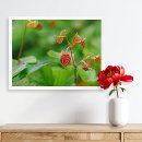 Zoek naar wilde aardbeien posters Botanisch