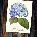 Zoek naar dankbaarheid briefkaarten Stijlvol