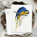 Recherche de le macao Oiseaux