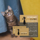 Zoek naar veterinarian visitekaartjes Veterinair