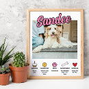 Recherche de mon chien posters Portrait