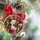 Recherche de labrador retriever ornements Noël