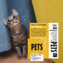 Recherche de chat standard cartes visite Animaux domestiques