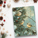 Recherche de oiseaux de noël cartes postales Vintage