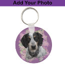 Recherche de bluetick coonhound Amoureux des chiens